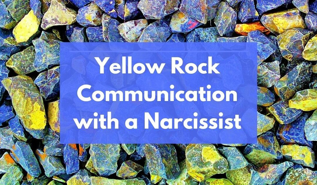 Effective Co-Parenting Communication: Dealing with a Narcissist via Yellow Rock